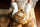 Heat-Resistant Gloves