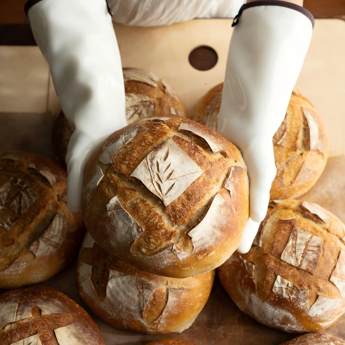 15" Extra-Long Sourdough Baking Gloves